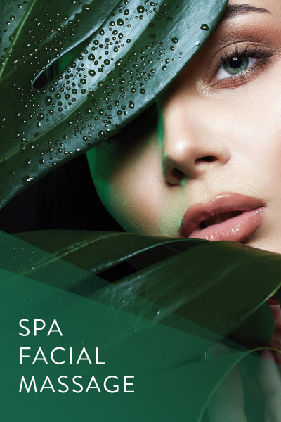 Spa Facial Massage Poster A4, A3 & A2 sizes